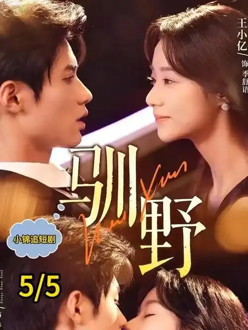 数据迷城 科幻悬疑电视剧全集免费